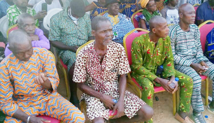 Arbre-de-noël-à-Boussoukro (5)
